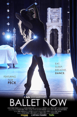 File:BalletNowPoster.png