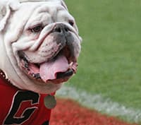 Uga VI Official Photo