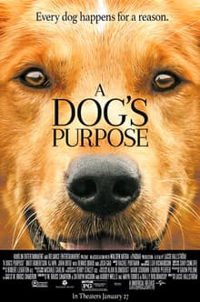 File:A_Dog's_Purpose_(film).jpg